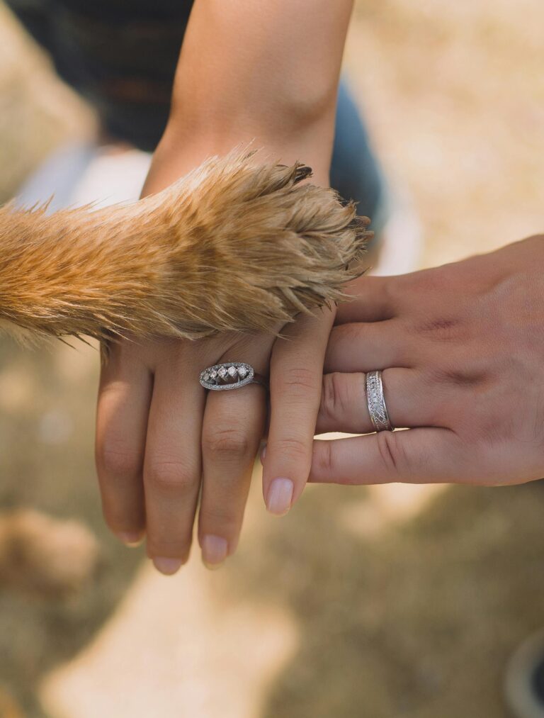 Medical Training pour Chiens :